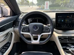 2021 BYD Song PLUS EV Premium — фото 14
