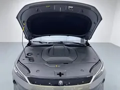 2025 BYD Qin PLUS EV Smart Driving 420km Leading — фото 9