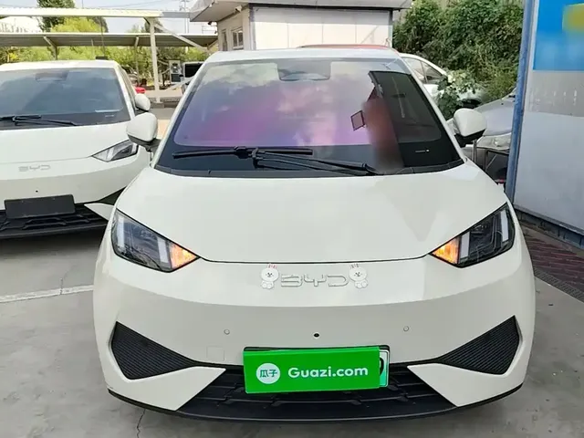 2025 BYD Seagull Smart Driving 305km Freedom