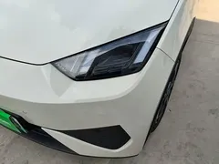 2025 BYD Seagull Smart Driving 305km Freedom, белый — фото 18