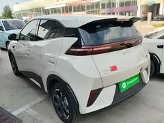2025 BYD Seagull Smart Driving 305km Freedom, белый — фото 23
