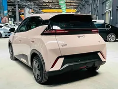 2025 BYD Seagull 305km Vitality — фото 7
