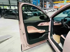 2025 BYD Seagull 305km Vitality — фото 14