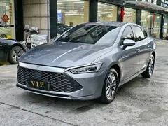 2024 BYD Qin PLUS DM-i 55KM — фото 1