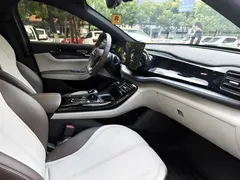 2024 BYD Qin PLUS DM-i 55KM — фото 8