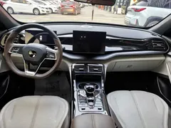 2024 BYD Qin PLUS DM-i 55KM — фото 9