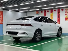 2024 BYD Qin PLUS 55KM, белый — фото 5