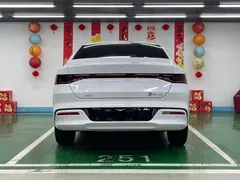 2024 BYD Qin PLUS 55KM, белый — фото 6