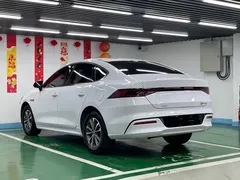 2024 BYD Qin PLUS 55KM, белый — фото 7
