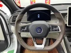 2024 BYD Qin PLUS 55KM, белый — фото 12