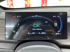 2024 BYD Qin PLUS 55KM, белый — фото 13