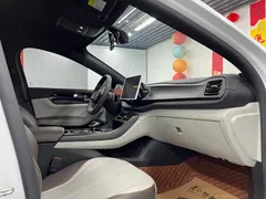 2024 BYD Qin PLUS 55KM, белый — фото 20