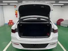 2024 BYD Qin PLUS 55KM, белый — фото 23