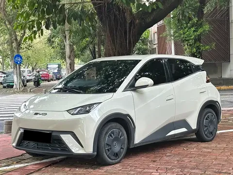 2023 BYD Seagull Vitality