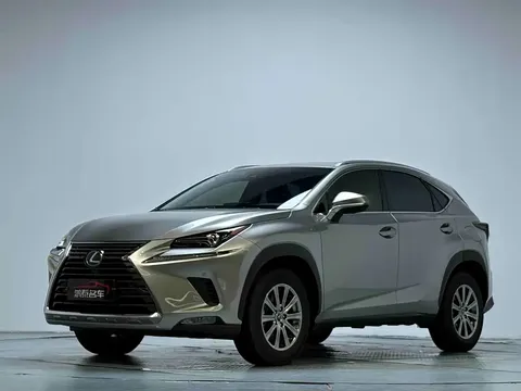 2020 Lexus NX 200 Fashion VI