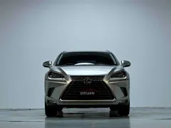 2020 Lexus NX 200 Fashion VI — фото 3