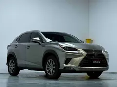 2020 Lexus NX 200 Fashion VI — фото 4