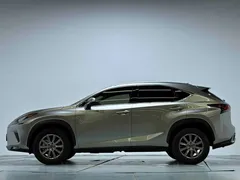 2020 Lexus NX 200 Fashion VI — фото 13