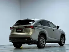 2020 Lexus NX 200 Fashion VI — фото 15