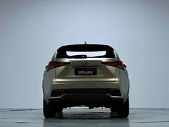 2020 Lexus NX 200 Fashion VI — фото 16