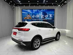 2021 Haval H6 1.5T AT Champion, белый — фото 4