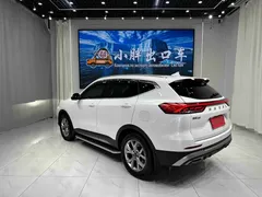 2021 Haval H6 1.5T AT Champion, белый — фото 6