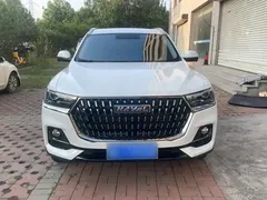 2021 Haval H6 1.5GDIT AT Guochao Champion, белый — фото 19