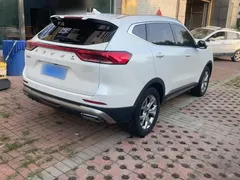2021 Haval H6 1.5GDIT AT Guochao Champion, белый — фото 23