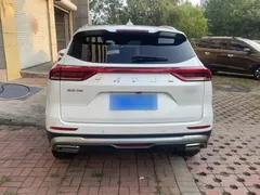2021 Haval H6 1.5GDIT AT Guochao Champion, белый — фото 24