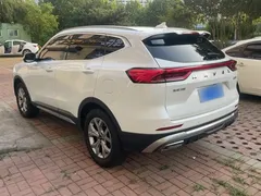 2021 Haval H6 1.5GDIT AT Guochao Champion, белый — фото 25
