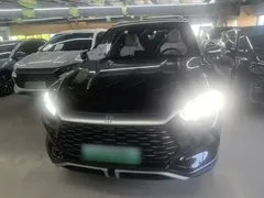 2024 BYD Song Pro 110KM, чёрный — фото 3