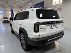 2021 Haval Dargo 2.0T DCT 2WD, белый — фото 6