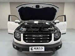 2021 Haval Dargo 2.0T DCT 2WD, белый — фото 14