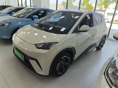 2024 BYD Seagull EV 305km Honor Freedom