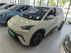 2024 BYD Seagull EV 305km Honor Freedom, белый — фото 1