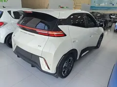 2024 BYD Seagull EV 305km Honor Freedom, белый — фото 5