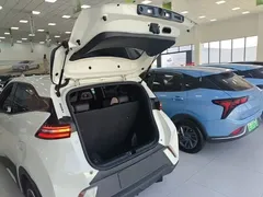 2024 BYD Seagull EV 305km Honor Freedom, белый — фото 15