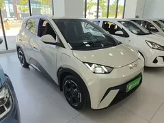 2024 BYD Seagull EV 305km Honor Freedom, белый — фото 22