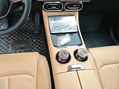 2024 Leapmotor C11 300 Premium — фото 14