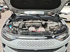 2024 Leapmotor C11 300 Premium — фото 20