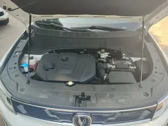 2019 Changan CS35 PLUS 1.6L AT, белый — фото 20