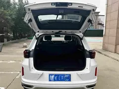 2022 Exeed LX 1.5T CVT, белый — фото 11
