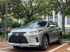 2020 Lexus RX 300 2WD Elite VI — фото 1