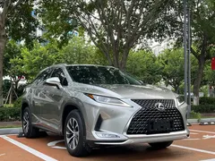 2020 Lexus RX 300 2WD Elite VI — фото 3