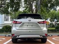 2020 Lexus RX 300 2WD Elite VI — фото 8