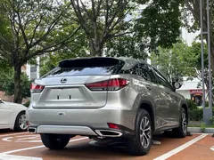 2020 Lexus RX 300 2WD Elite VI — фото 9