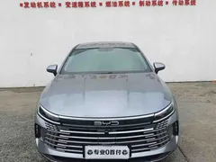 2024 BYD Destroyer 05 DM-i 55KM — фото 1