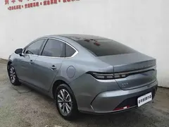 2024 BYD Destroyer 05 DM-i 55KM — фото 3