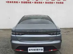 2024 BYD Destroyer 05 DM-i 55KM — фото 4