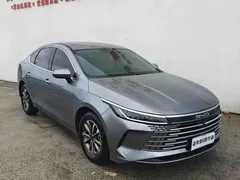 2024 BYD Destroyer 05 DM-i 55KM — фото 5